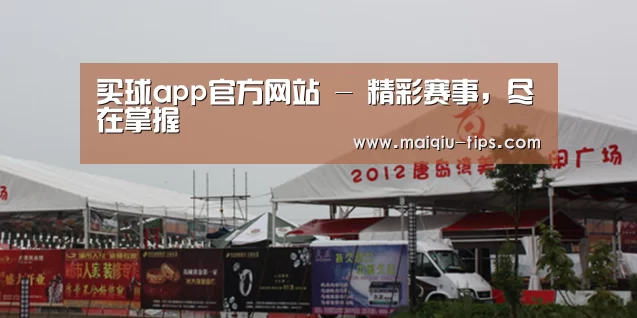 案例标题十