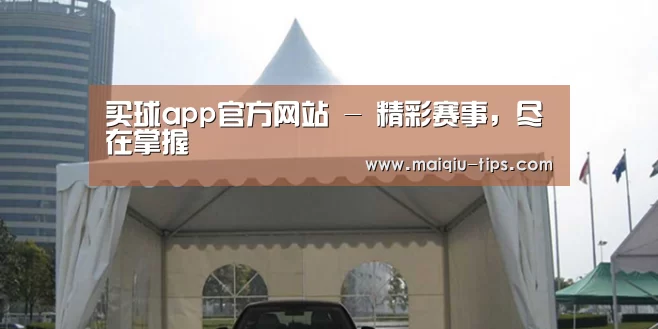 案例标题八