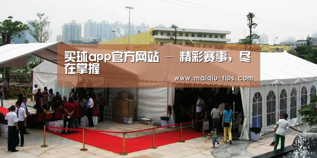 案例标题一