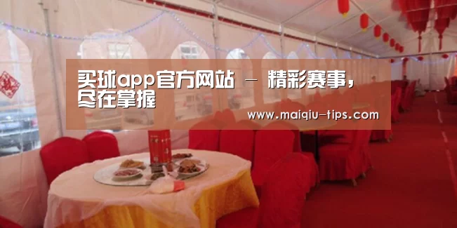 案例标题二