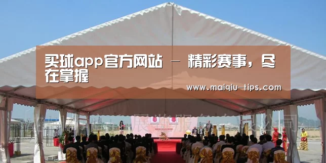 案例标题三