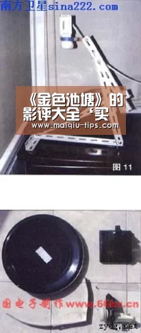 《金色池塘》的影评大全‘买球app官方网站最新版本’(图2) 买球app官方网站下载
